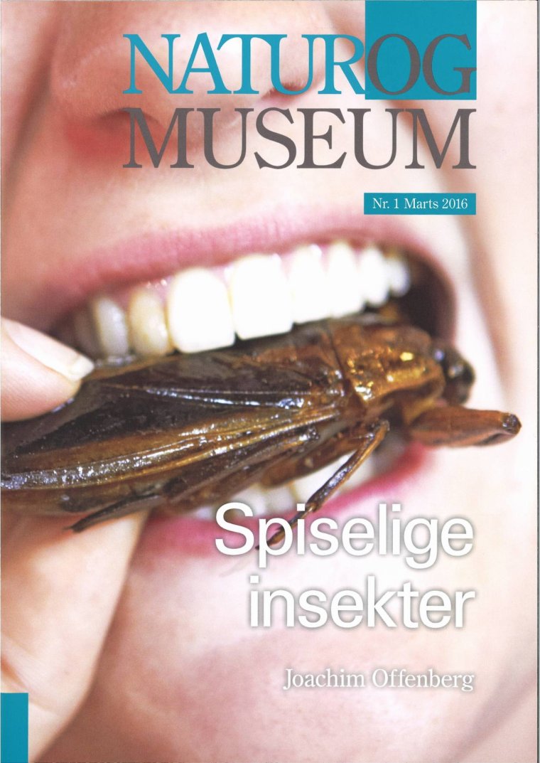 Spiselige insekter